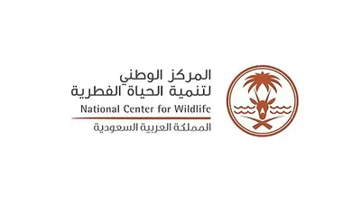اخبار اليمن الان الحدث اليوم عاجل الجيل