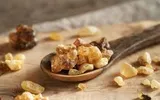 مارب برس اخبار اليمن الان اكتشف معلومات اللبان الذكر التنفس اخبار اليمن الان الحدث اليوم عاجل مارب برس
