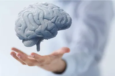 سبق اخبار اليمن الان لصحة دماغك تكثر تناول الأطعمة اخبار اليمن الان الحدث اليوم عاجل سبق
