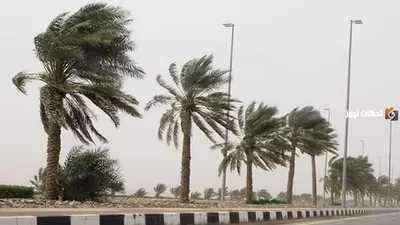 الجيل اخبار اليمن الان الأرصاد ينبه رياح نشطة منطقة اخبار اليمن الان الحدث اليوم عاجل الجيل