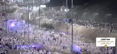 الجيل اخبار اليمن الان مشروع الإفادة الهدي والأضاحي الأضاحي اخبار اليمن الان الحدث اليوم عاجل الجيل
