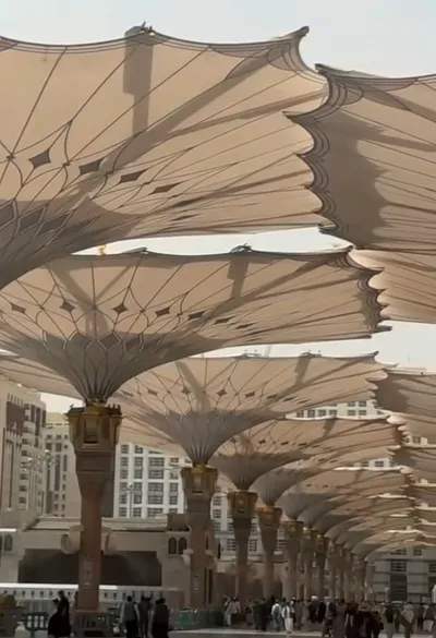 سبق اخبار اليمن الان المظلات المتحركة النبوي الشريف منظومة اخبار اليمن الان الحدث اليوم عاجل سبق
