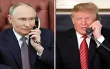 RT اخبار اليمن الان المتحدة بالمحادثة الهاتفية الهادفة وترامب اخبار اليمن الان الحدث اليوم عاجل RT