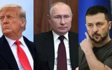 timesofindia اخبار اليمن الان donald trump urges zelenskyy together اخبار اليمن الان الحدث اليوم عاجل timesofindia