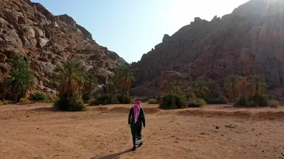 cnn عربي اخبار اليمن الان الأسواق الدولية الأولوية السعودية استقطابها اخبار اليمن الان الحدث اليوم عاجل cnn عربي