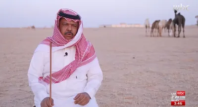 اخبار اليمن الان الحدث اليوم عاجل سبق