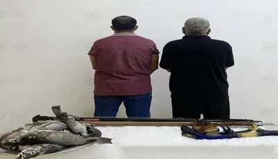 اخبار اليمن الان الحدث اليوم عاجل سبق