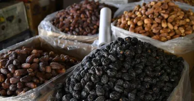 اخبار اليمن الان الحدث اليوم عاجل الجيل