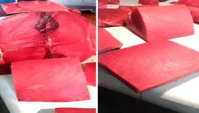 اخبار اليمن الان الحدث اليوم عاجل شمسان بوست