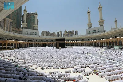 اخبار اليمن الان الحدث اليوم عاجل سبق