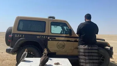 سبق اخبار اليمن الان الأمن البيئي مواطنا وبحوزته البيئة اخبار اليمن الان الحدث اليوم عاجل سبق