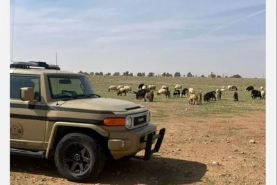 الجيل اخبار اليمن الان لارتكابه مخالفة الإمام عبدالله الملكية اخبار اليمن الان الحدث اليوم عاجل الجيل