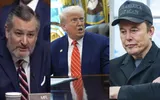 timesofindia اخبار اليمن الان trump pissed venting divorce wishing اخبار اليمن الان الحدث اليوم عاجل timesofindia