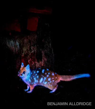 اخبار اليمن الان الحدث اليوم عاجل cnn عربي