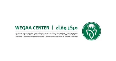 اخبار اليمن الان الحدث اليوم عاجل سبق