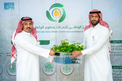 اخبار اليمن الان الحدث اليوم عاجل سبق