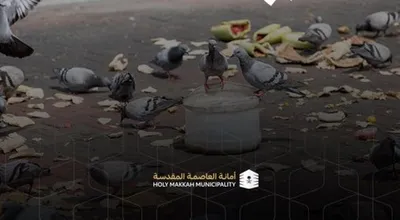 سبق اخبار اليمن الان أمانة العاصمة المقدسة توعوية الأرصفة اخبار اليمن الان الحدث اليوم عاجل سبق