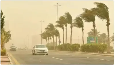 الجيل اخبار اليمن الان المملكة الثلاثاء ارتفاع الحرارة العظمى اخبار اليمن الان الحدث اليوم عاجل الجيل