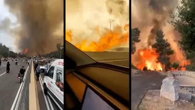 cnn عربي اخبار اليمن الان الغابات إسرائيل الأكبر الإطلاق بالبلاد اخبار اليمن الان الحدث اليوم عاجل cnn عربي
