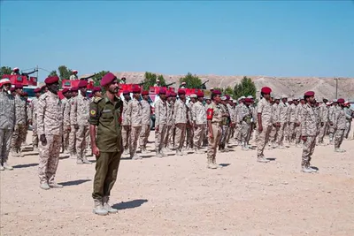 اخبار اليمن الان الحدث اليوم عاجل شمسان بوست