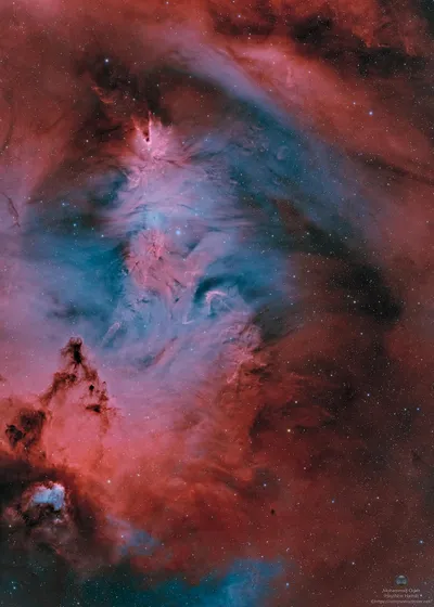 اخبار اليمن الان الحدث اليوم عاجل سبق