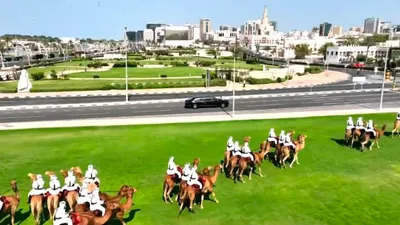 cnn عربي اخبار اليمن الان الجمال استقبال الرئيس الأمريكي دونالد اخبار اليمن الان الحدث اليوم عاجل cnn عربي