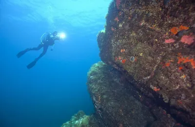 اخبار اليمن الان الحدث اليوم عاجل سبق