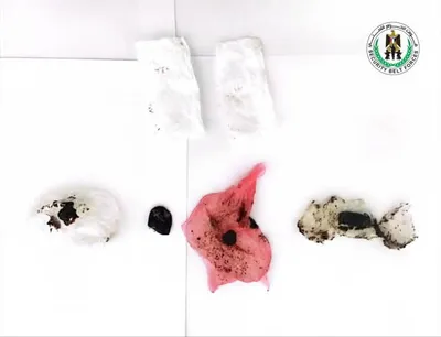 عرب تايم اخبار اليمن الان القبض شخصين بتهمة الحشيش المخدر اخبار اليمن الان الحدث اليوم عاجل عرب تايم