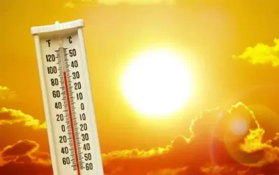اخبار اليمن الان الحدث اليوم عاجل سبق