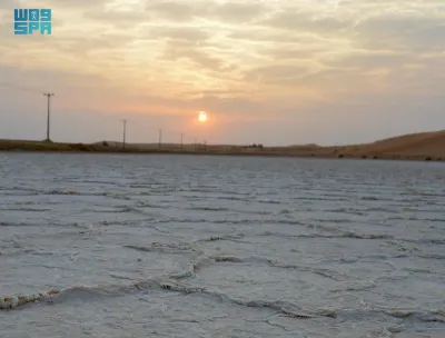 سبق اخبار اليمن الان العوشزية بالقصيم أبيض الزوار والمستثمرين اخبار اليمن الان الحدث اليوم عاجل سبق