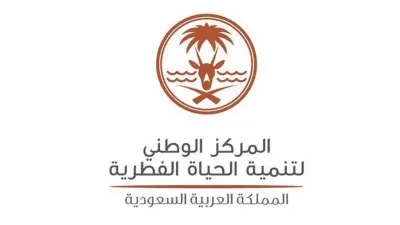اخبار اليمن الان الحدث اليوم عاجل سبق
