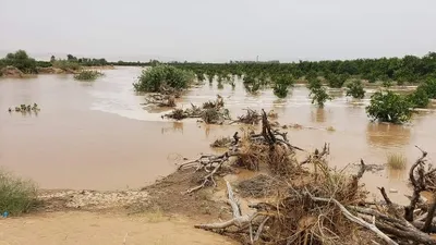 اخبار اليمن الان الحدث اليوم عاجل مارب برس