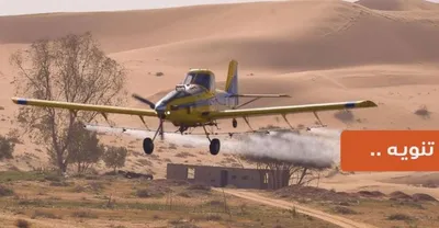 اخبار اليمن الان الحدث اليوم عاجل الجيل