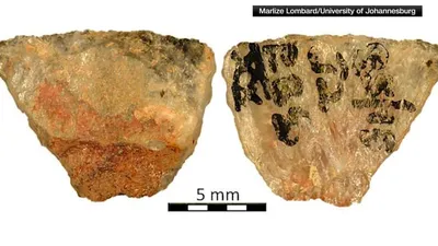 cnn عربي اخبار اليمن الان عدد10 اكتشفت إفريقيا يحددون استخدامها اخبار اليمن الان الحدث اليوم عاجل cnn عربي