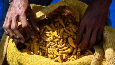 cnn عربي اخبار اليمن الان فوائد الكركم امتصاص الأصفر بالجسم اخبار اليمن الان الحدث اليوم عاجل cnn عربي