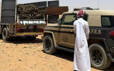 سبق اخبار اليمن الان مواطن مخالف البيئة الإمام الملكية اخبار اليمن الان الحدث اليوم عاجل سبق