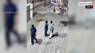 cnn عربي اخبار اليمن الان يهرب ليهاجم وأطفالها بلحظات مرعبة اخبار اليمن الان الحدث اليوم عاجل cnn عربي