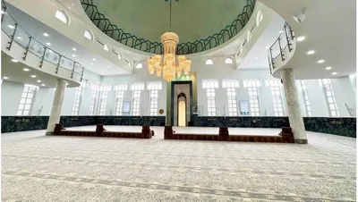 الجيل اخبار اليمن الان الشؤون الإسلامية سراييفو بـ2100 السجاد اخبار اليمن الان الحدث اليوم عاجل الجيل
