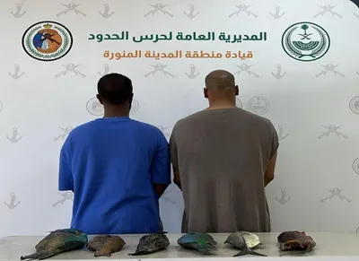 الجيل اخبار اليمن الان مواطنين مخالفين والسلامة لمزاولي بالمناطق اخبار اليمن الان الحدث اليوم عاجل الجيل