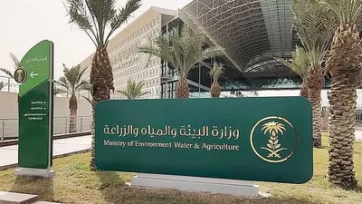 الجيل اخبار اليمن الان ملايين المرحلة وتحصين بالحدود الشمالية اخبار اليمن الان الحدث اليوم عاجل الجيل