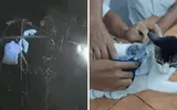 timesofindia اخبار اليمن الان custody caught smuggling cocaine prison اخبار اليمن الان الحدث اليوم عاجل timesofindia