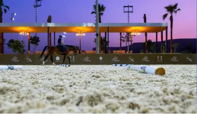 الجيل اخبار اليمن الان الخيول سياحية ترفيهية الزوار الفروسية اخبار اليمن الان الحدث اليوم عاجل الجيل