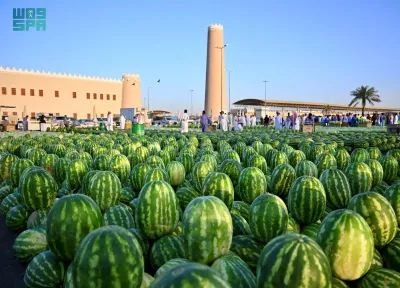 سبق اخبار اليمن الان فاكهة البطيخ الأسواق انطلاق المتسوقين اخبار اليمن الان الحدث اليوم عاجل سبق
