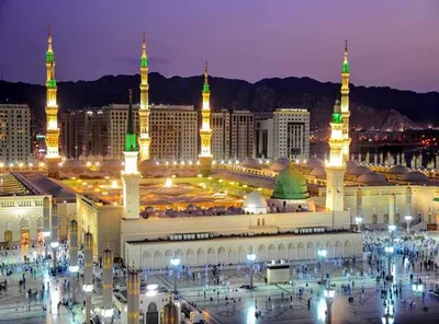 الجيل اخبار اليمن الان وزارة المدينة المنورة استكشاف مسارها اخبار اليمن الان الحدث اليوم عاجل الجيل