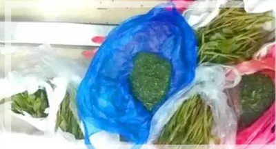 اخبار اليمن الان الحدث اليوم عاجل العاصفه نيوز