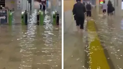 اخبار اليمن الان الحدث اليوم عاجل صدى 