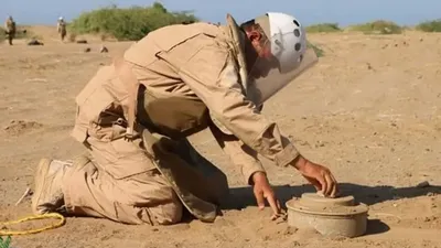 الجيل اخبار اليمن الان مشروع مسام الأراضي اليمنية أسبوع اخبار اليمن الان الحدث اليوم عاجل الجيل