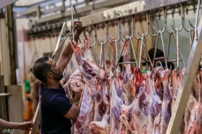 اخبار اليمن الان الحدث اليوم عاجل سبق