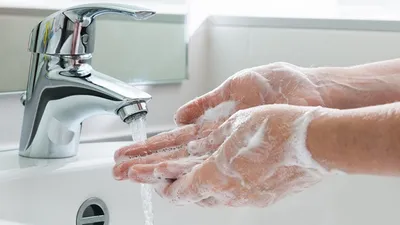 سبق اخبار اليمن الان اليدين باستمرار أخطاء الجراثيم والفيروسات اخبار اليمن الان الحدث اليوم عاجل سبق