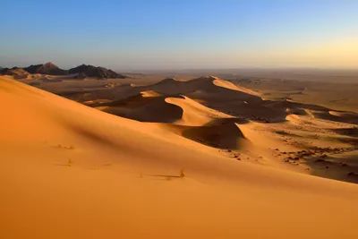 اخبار اليمن الان الحدث اليوم عاجل cnn عربي